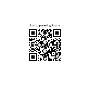 pay via Paypal